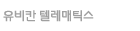 유비칸 텔레매틱스